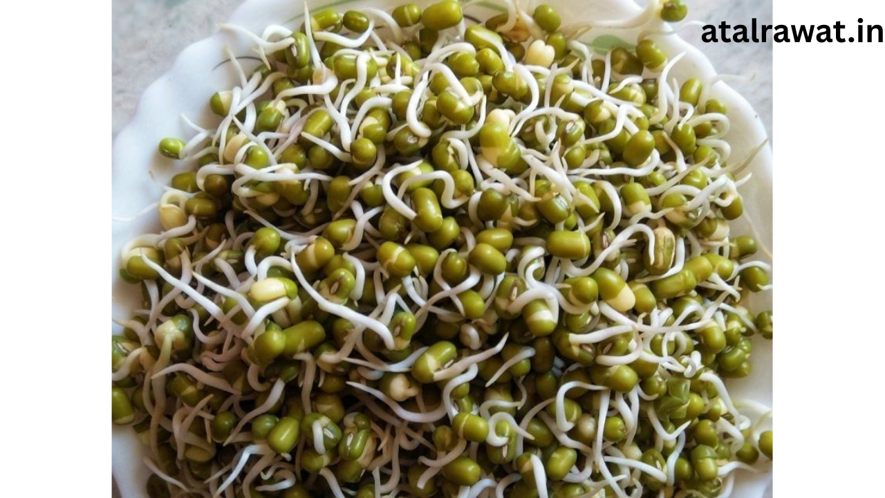 How Ho Complete Daily Protein Intake - 5 Vegetarian High Protein Food , moongdaal